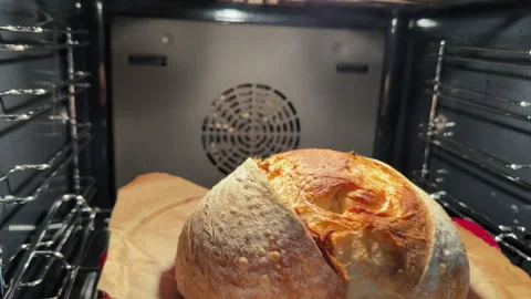 Sourdough bread baking and rising in the oven Stock Footage 340237932
