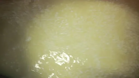 Sourdough cheese Stock Footage 49159768