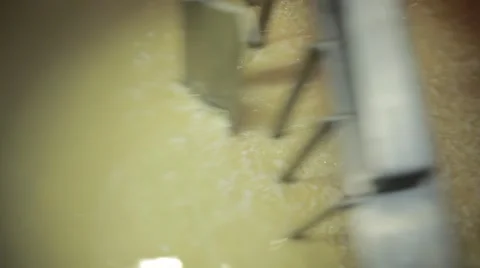 Sourdough cheese Stock Footage 49159769