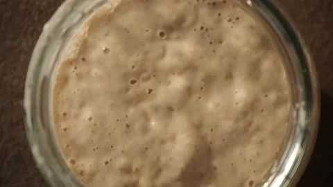 Sourdough Starter Overhead Stock Footage 219284022