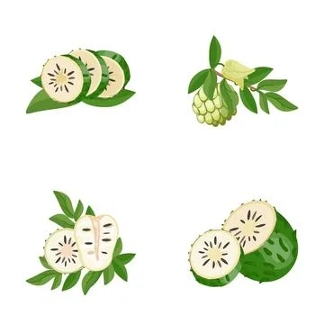 Soursop fruit elements showing whole and sliced parts Stock Illustration