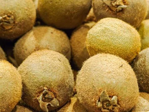 Soursop fruit Stock Photos
