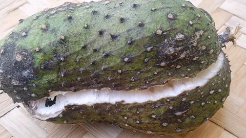Soursop Fruit Ripens Naturally on Rustic Bamboo Altar Stock Footage 340125659