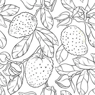 Soursop seamless pattern Stock Illustration