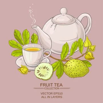Soursop tea vector illustration Illustrazione stock