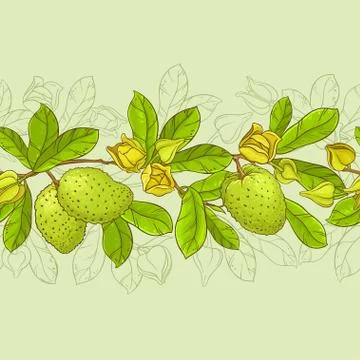Soursop vector pattern Stock Illustration