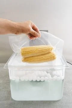 Sous vide cooking of corncobs Stock Photos