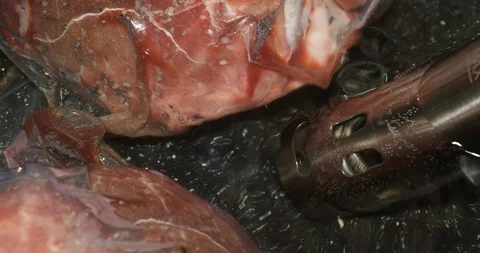 Sous Vide cooking Stock Footage 125644788