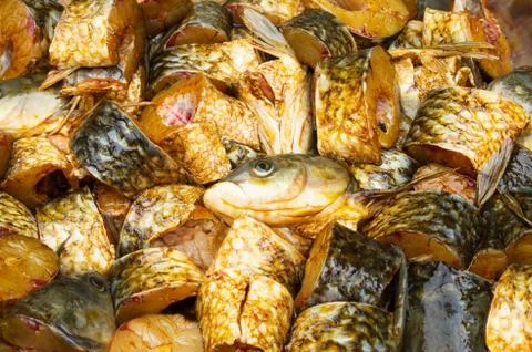 Souse grass carp Stock Photos