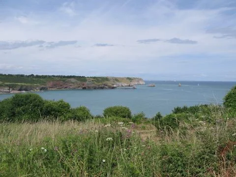 Sout west devon coast Stock Photos