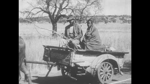 South Africa 1960s: Two black South Africans ride in back of animal-drawn wagon. Stock Footage