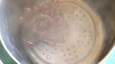 South African crayfish placed in steaming stainless steel pot, cooking seafood Stock Footage 325328983