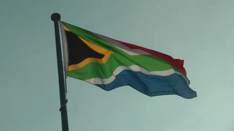 A South African flag is flying 動画素材 343391427