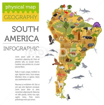 South America flora and fauna map, flat elements. Animals, birds and sea life Stock Illustration