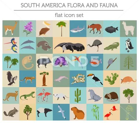 South America flora and fauna flat elements. Animals, birds and sea life big Stock Illustration