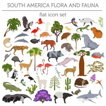 South America flora and fauna flat elements. Animals, birds and sea life big Stock Illustration