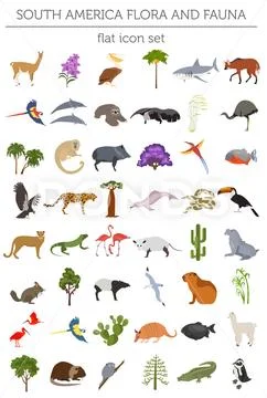 South America flora and fauna flat elements. Animals, birds and sea life big Stock Illustration