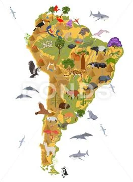 South America flora and fauna map, flat elements. Animals, birds and sea life Stock Illustration
