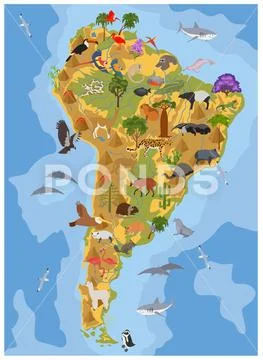 South America flora and fauna map, flat elements. Animals, birds and sea life Stock Illustration