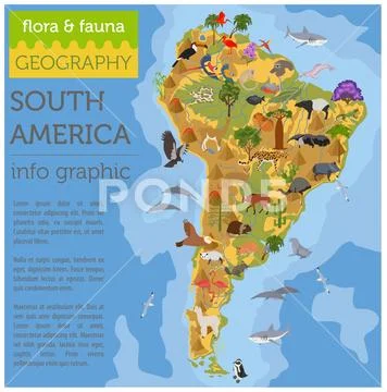 South America flora and fauna map, flat elements. Animals, birds and sea life Stock Illustration