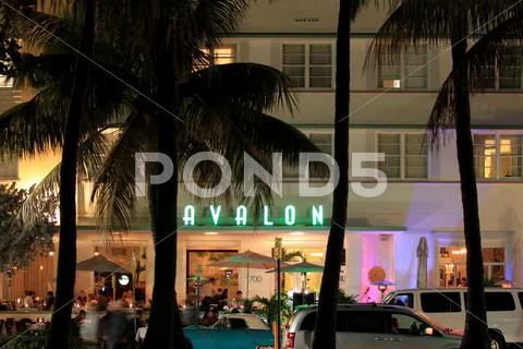 South beach, Avalon Stock Photos