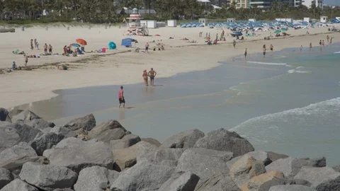 South Beach with man playing with dog - Miami Beach, FL Stock Footage