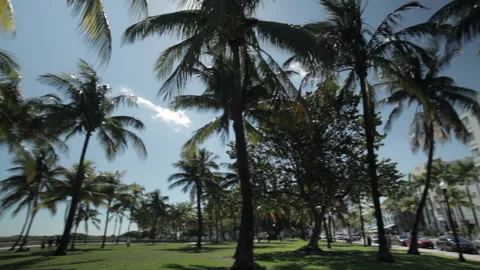 South Beach Miami 2 Stock Footage 161028240