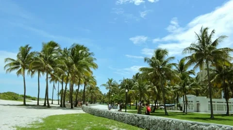 South Beach Ocean Drive Video stock 43058405