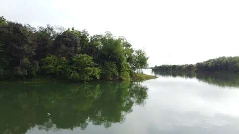 SOUTH BORENO Stock Footage 221661468