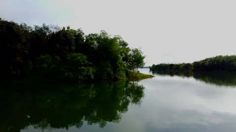 SOUTH BORNEO DAM Stock Footage 247859073