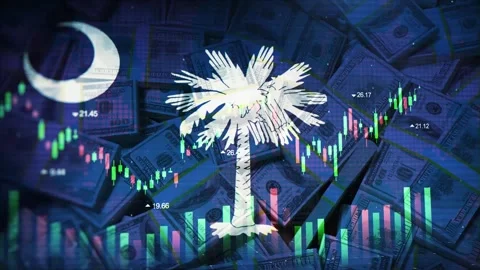 South Carolina Flag on Economic Background With Decrease Bar Chart Graph And 库存影片 320972729