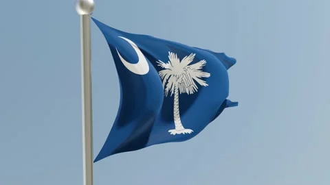 South Carolina flag on flagpole. SC flag fluttering in the wind. USA. Stock Footage