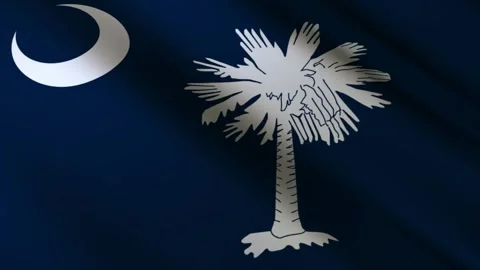 South Carolina State Flag Stock Footage 276105508