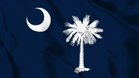 South Carolina State Flag Loop 4K Видео 243876049