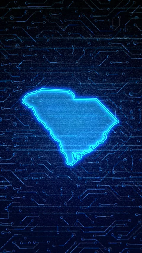 South Carolina State Map Digital Technology Opener Stock-Footage 336391551