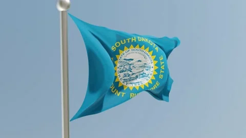 South Dakota flag on flagpole. SD flag fluttering in the wind. USA. Stock Footage 170659769