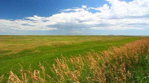 South Dakota Prairie Scenery Stock Footage