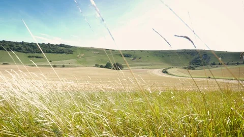 The South Downs countryside, England Stock Footage 115338206