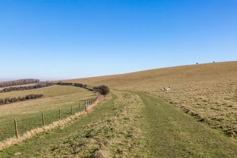 A South Downs Landscape with a blue sky overhead Stock Photos