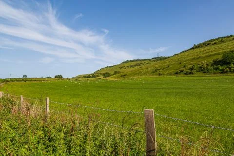 A South Downs Landscape Stock Photos