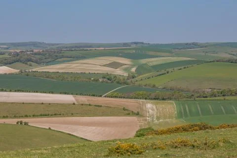 A South Downs Landscape Stock Photos