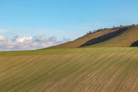 South Downs Landscape Foto stock