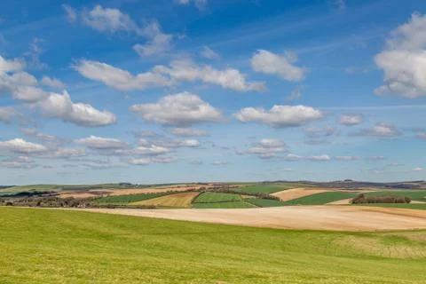 South Downs Landscape in Spring Foto stock