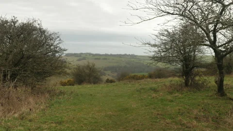 South Downs in Southern England with Tree Branches Early Spring Overcast Daytime Stock Footage 237349487