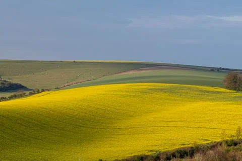 A South Downs Spring Landscape Stock Photos