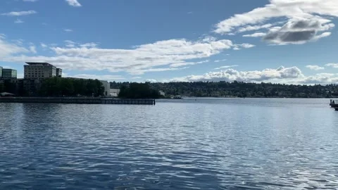 South End of Lake Washington Stock Footage