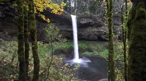 South Falls, Silver Falls State Park, Oregon Stock Footage 43721610