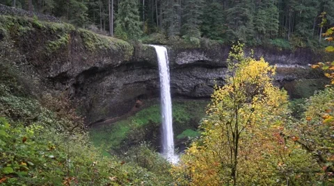 South Falls, Silver Falls State Park, Oregon Stock Footage 43721763