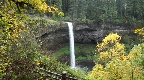 South Falls, Silver Falls State Park, Oregon Stock Footage 43721794