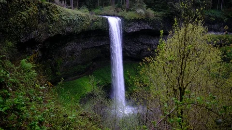 South Falls, Silver Falls State Park, Oregon Stock Footage 89806311